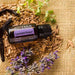 dōTERRA Aromatherapy Oil dōTERRA Lavender Peace 15ml