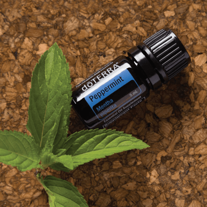 dōTERRA Aromatherapy Oil dōTERRA Peppermint 15ml