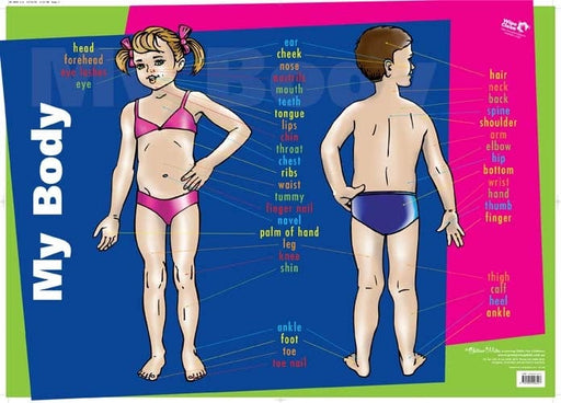 Educational Colours My Body Wall Chart